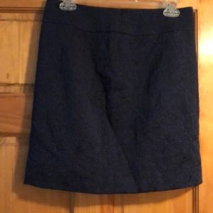 Ann Taylor Skirt
